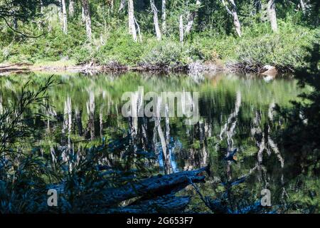 Lago Chico See im Nationalpark Huerquehue, Chile Stockfoto