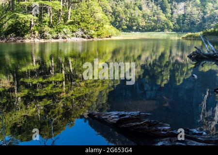 Lago Chico See im Nationalpark Huerquehue, Chile Stockfoto