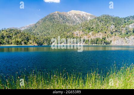 Laguna Toro See im Nationalpark Huerquehue, Chile Stockfoto