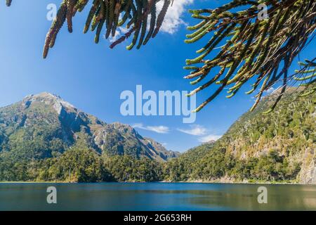 Laguna Toro See im Nationalpark Huerquehue, Chile Stockfoto