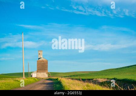 Blick auf den industriellen Getreideaufzug von der Weizenfarm im Bundesstaat Palouse, Washington Stockfoto