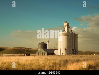 Blick auf den industriellen Getreideaufzug von der Weizenfarm im Bundesstaat Palouse, Washington Stockfoto