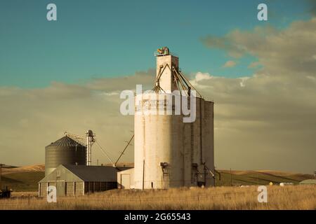 Blick auf den industriellen Getreideaufzug von der Weizenfarm im Bundesstaat Palouse, Washington Stockfoto