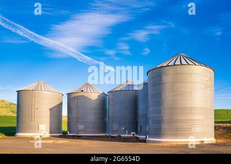 Ansicht der Getreidesilos von der Farm im Bundesstaat Palouse, Washington Stockfoto