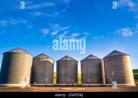 Ansicht der Getreidesilos von der Farm im Bundesstaat Palouse, Washington Stockfoto