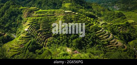 Greenview Feld der herrlichen Reisterrassen Stockfoto