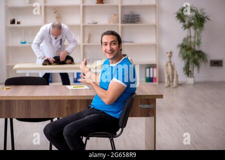 Alter Tierarzt untersucht Hund in der Klinik Stockfoto