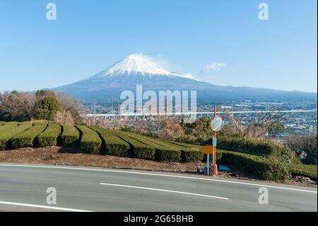 Berg Fuji mit Schnee- und Grüntee-Plantage in Yamamoto, Fujinomiya, Präfektur Shizuoka, Japan. Straße mit Verkehrsspiegel. Stockfoto