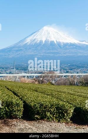 Berg Fuji mit Schnee- und Grüntee-Plantage in Yamamoto, Fujinomiya, Präfektur Shizuoka, Japan. Luftaufnahme der Stadt Fujinomiya. Stockfoto