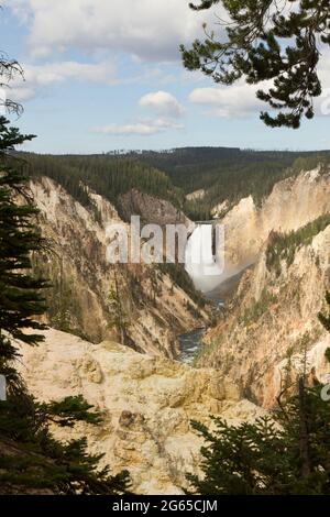 Lower Falls Kaskaden in den Grand Canyon des Yellowstone. Stockfoto