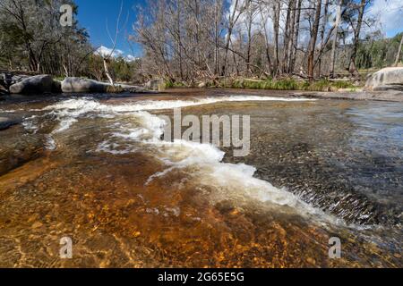 Kaskaden, die nach den jüngsten Regenfällen laufen, Mann River Nature Reserve, Old Grafton Road, NSW Australia Stockfoto