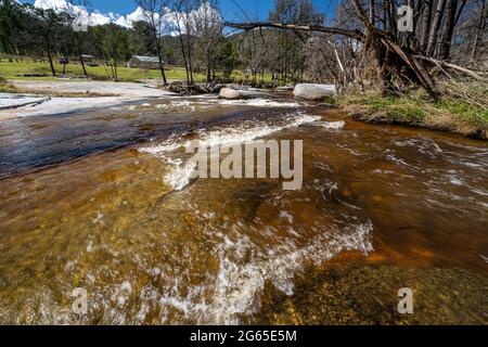 Kaskaden, die nach den jüngsten Regenfällen laufen, Mann River Nature Reserve, Old Grafton Road, NSW Australia Stockfoto