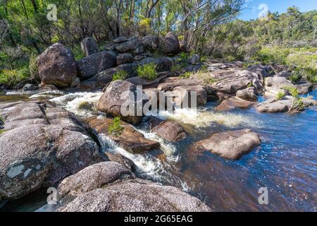 Barra Nulla Cascades, Gibraltar Range National Park, NSW, Australien Stockfoto