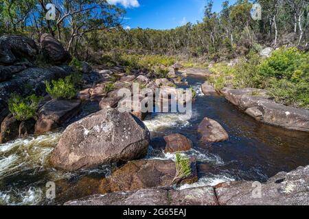 Barra Nulla Cascades, Gibraltar Range National Park, NSW, Australien Stockfoto