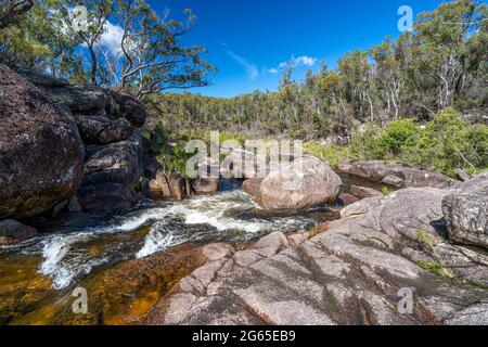 Barra Nulla Cascades, Gibraltar Range National Park, NSW, Australien Stockfoto