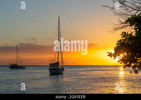 Segelboot vor Anker im Burrum River bei Sonnenaufgang. Burrum Heads, Queensland Australien Stockfoto