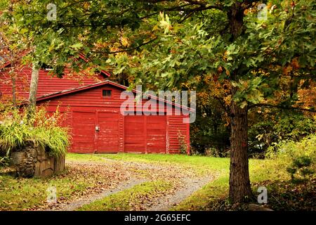 Eine rote Scheune im Herbst in der Nähe des Westfield River in MA Stockfoto