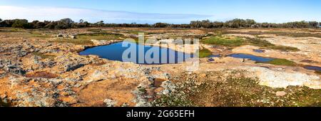 Boundary Riders Waterhole, Rabbit Proof Fence, Dalwallinu, Western Australia Stockfoto