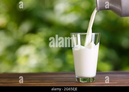 Milch, die aus Metallkännen in Glas gießt Stockfoto