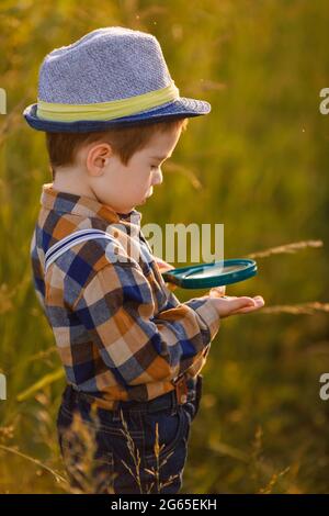 Kleiner Junge erkundet die Natur auf der Wiese mit einer Lupe Stockfoto