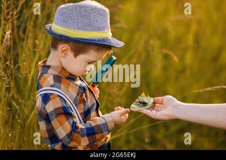 Kleiner Junge erkundet die Natur auf der Wiese mit einer Lupe Stockfoto