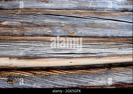 Die Wand eines Holzhauses aus alten Baumstämmen Stockfoto