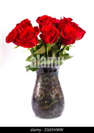 Ein Dutzend rote Rosen in einer Vase isoliert auf weißem Hintergrund Stockfoto