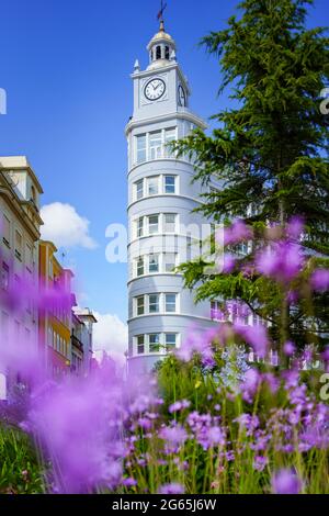 Verschwommene violette Blume im Vordergrund, Ferrol, Galicien, Spanien Stockfoto