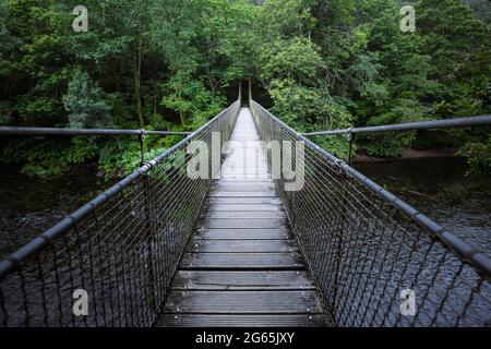 Hängebrücke über einen Fluss, umgeben von üppiger Vegetation. CAL Grande Brücke im Naturpark Fragas do Eume, Galicien. Stockfoto