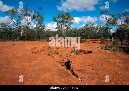 Cobar Australia, Outback-Szene mit rotem Boden und Erosion durch Sturzfluten Stockfoto