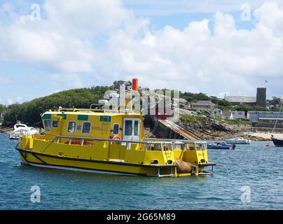 Wally the Walrus nippt am Star of Life am Hafen von St. Mary, Isles of Scilly, Großbritannien Stockfoto