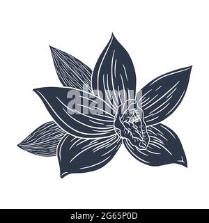 Linienzeichnung Vanilleblüte isolierte Vektordarstellung für Logo, Menü, Etikett, Emblem, Druck, Spa, Parfüm, Kosmetikprodukte Stock Vektor