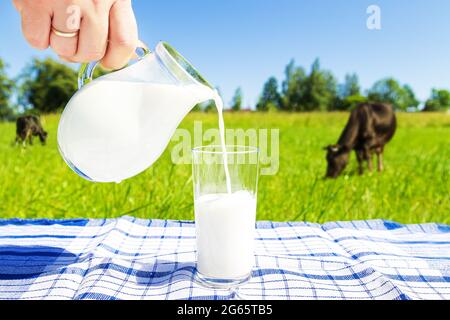 Grünes Feld und blauer Himmel. Die menschliche Hand gießt Milch aus einem Krug in ein Glas. Gesunde Ernährung. Stockfoto