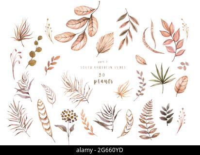 Herbstlaub. Gelbes herbstliches Gartenblatt, rotes Herbstblatt und heruntergefallene trockene Blätter. Botanische Waldpflanzen oder laub im september oktober. Flach Stockfoto