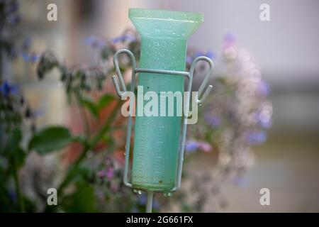 Nahaufnahme eines Plastikregenmessers im Garten mit Blumen im Hintergrund nach starkem Regen Stockfoto