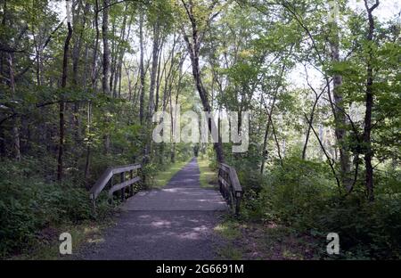 Rail Trail in Hurley, New York. Stockfoto