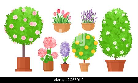 Garten Blumen in Töpfen flache Vektor-Illustrationen Set Stock Vektor