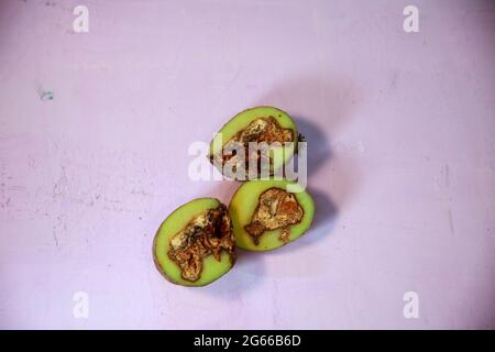 Schlechte Kartoffeln durch Fäule und Pilz betroffen. Kartoffelkrankheiten. Verderb von Kartoffeln durch unsachgemäße Lagerung. Stockfoto