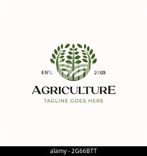 Agriculture Farm Logo Vorlage isoliert auf weißem Hintergrund Stock Vektor