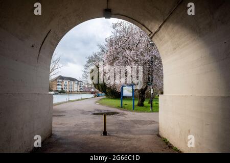 Bridge Wird Gelesen Stockfoto