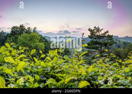 Wälder in den Bergen gegen bewölkten Himmel Stockfoto