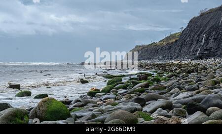 Fossilienjagd in Lyme Regis, Dorset, England Stockfoto