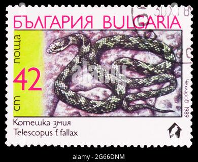 MOSKAU, RUSSLAND - 22. MÄRZ 2020: In Bulgarien gedruckte Briefmarke zeigt Europäische Katzenschlange (Telescopus fallax), Snakes-Serie, um 1989 Stockfoto