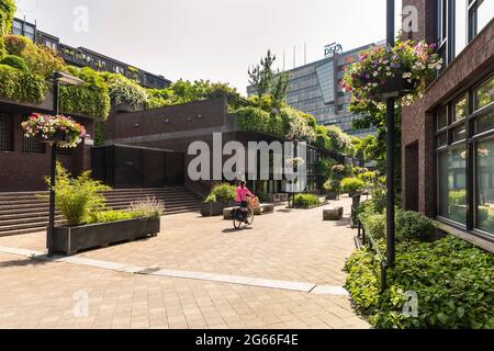 Eindhoven, Niederlande 18. Juni 2021. Straße mit grüner Natur im Zentrum von Eindhoven Stadt mit Pflanzen, Grün, Blumen, überwuchert Häuser ein Stockfoto
