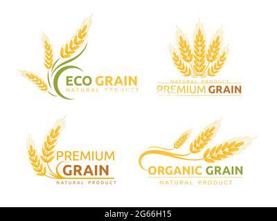 Set aus hochwertigen, flachen Vektorgrafiken mit Logo. Biologische Getreidekulturen, Werbung für Naturprodukte. Reife Weizenohren Cartoon Illustrationen mit Stock Vektor