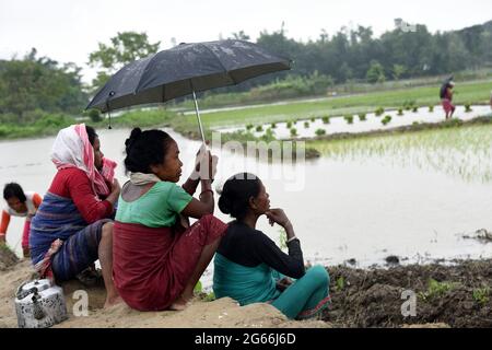 Guwahati, Guwahati, Indien. Juli 2021. Indische Bodo-Stammesfrauen warten darauf, am Samstag, den 3. Juli 2021, im Baksa-Distrikt von Assam Indien Paddy-Setzlinge zu Pflanzen.die Reisanbausaison begann im Bundesstaat Assam von Juni bis August.Quelle: Dasarath Deka/ZUMA Wire/Alamy Live News Stockfoto