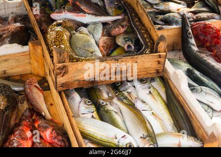 Frische Fische aus dem Boot verkauft Stockfoto