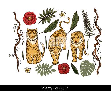 Cartoon bengalen Tiger Tier Vektor Dschungel tropischen Set. Wildtier Katze Zeichnung Illustration. Chinesische Neujahr Clipart wilde Natur Sammlung. Stock Vektor