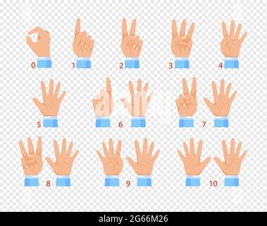 Vektordarstellung von Händen in verschiedenen Gesten, zeigt verschiedene Zahlen durch Finger. Flaches Cartoon-Design isoliert auf transparentem Hintergrund. Stock Vektor