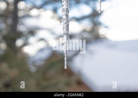 Gefrorene Eiszapfen, die im Winter an der Dachrinne hängen Stockfoto